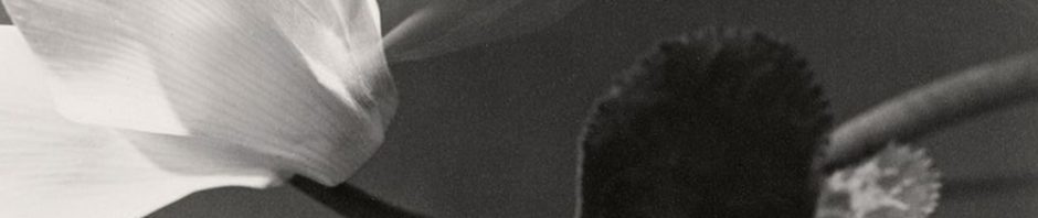 Júlíana Sól Sigurbjörnsdóttir